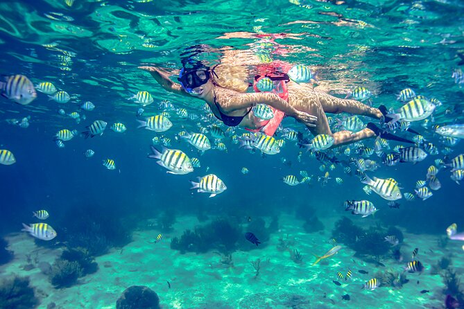 Breathtaking experience driving a speedboat in Cancun with Snorkeling included - Punta Nizuc snorkel, the underwater museum effect