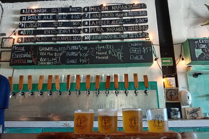 Brewery Tour / Craft Beer Tasting Cancun Mexico - Puerto Juarez Brewery House: From IPAs to Stouts With a Caribbean Feel