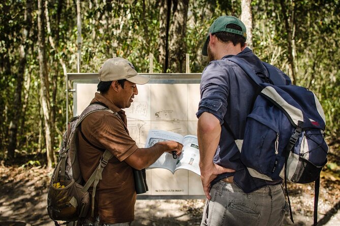 Calakmul Ancient Maya City Tour From Xpujil - Key Highlights Before You Go