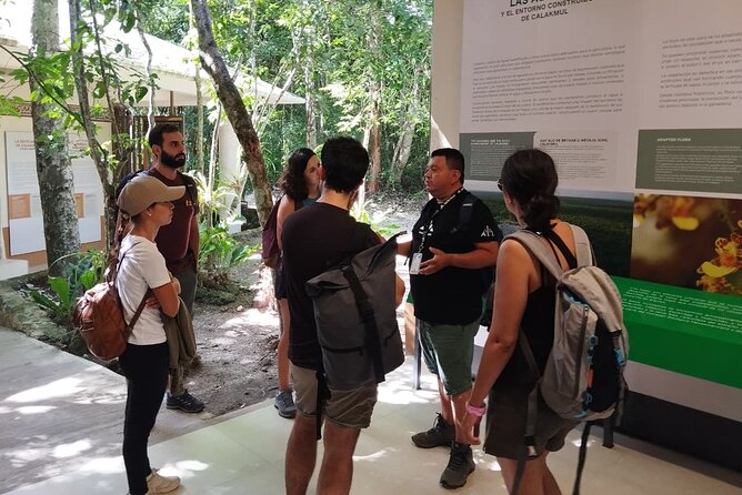 Calakmul Expedition : Jungle Trek & Ruins from Bacalar or Chetumal - The 6:00 am Start That Makes Calakmul Work