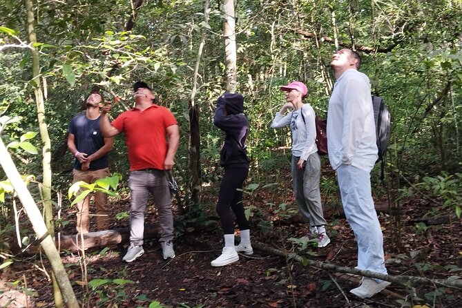 Calakmul Expedition : Jungle Trek & Ruins from Bacalar or Chetumal - Tall Views, Solstice Lines, and Why This Place Feels Different