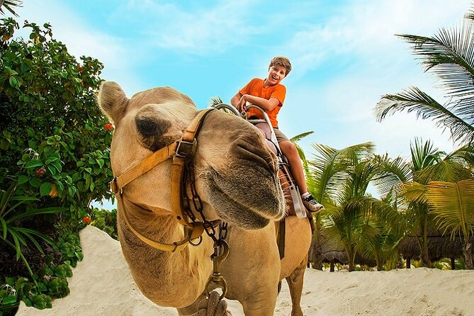 Camel Expedition and Beach Club In Riviera Maya - Maroma Beach time: quick comfort, not a full beach day