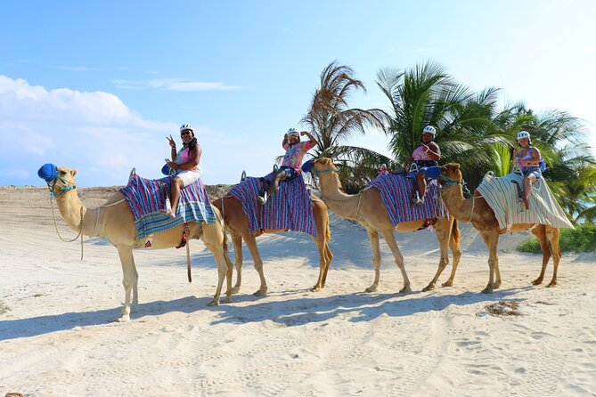 Camel Expedition and Beach Club In Riviera Maya - Transfers and timing: where things can go smoothly or get messy