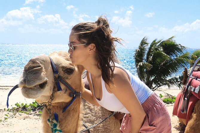 Camel Expedition and Beach Club In Riviera Maya - Price and value: is $144 per person a fair deal?