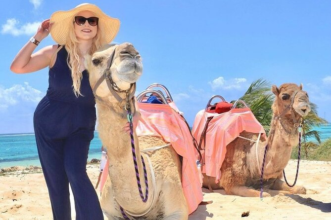 Camel Expedition and Beach Club In Riviera Maya - Jungle, dunes, and the value of a real guide