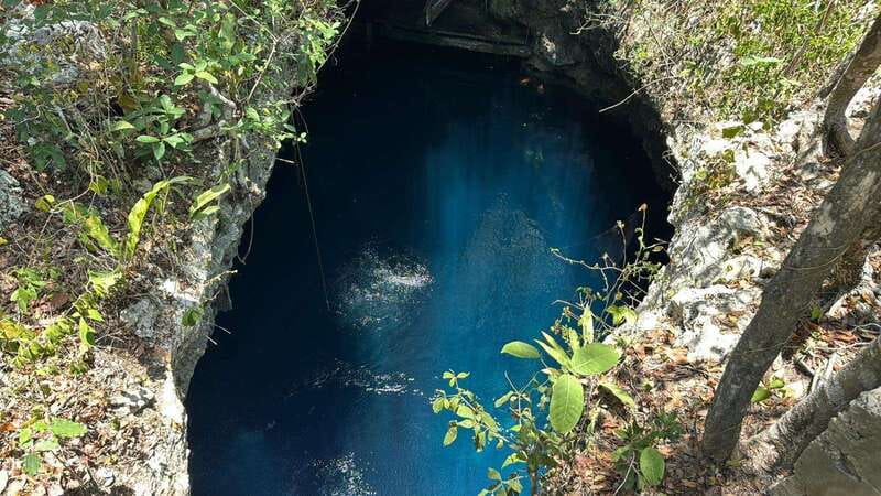 Cancun 2 Cenote Dives: The Pit & Dos Ojos - Certified Divers - How the day starts: pickup, timing, and small-group comfort