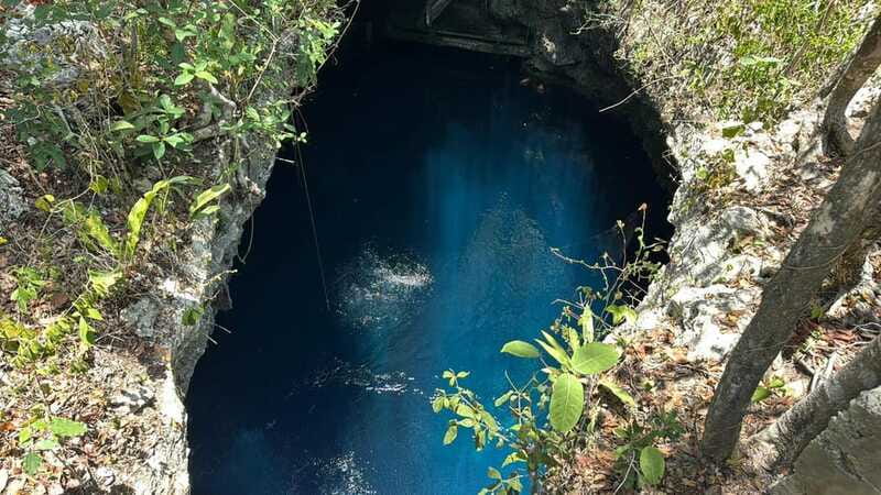 Cancun 2 Cenote Dives: The Pit & Dos Ojos - Certified Divers - Lunch break near Dos Ojos: quick fuel, no drama
