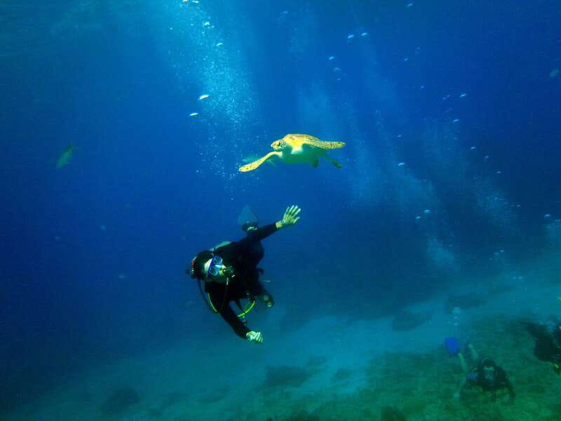 Cancun: 2-Tank Dive for Beginners with MUSA and Reef Dive - Key Highlights You Should Actually Care About