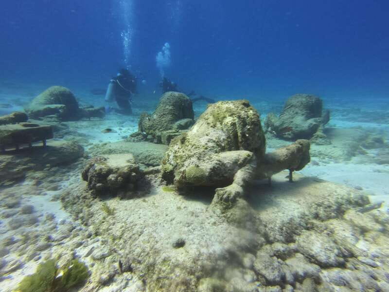Cancun: 2-Tank Dive for Beginners with MUSA and Reef Dive - Theory Class and Pool Practice: Your Confidence Setup