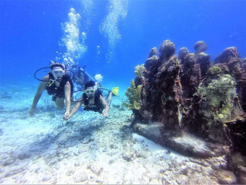 Cancun: 2-Tank Dive for Beginners with MUSA and Reef Dive - First Underwater Stop: MUSA’s 400 Sculptures at Around 10 Meters