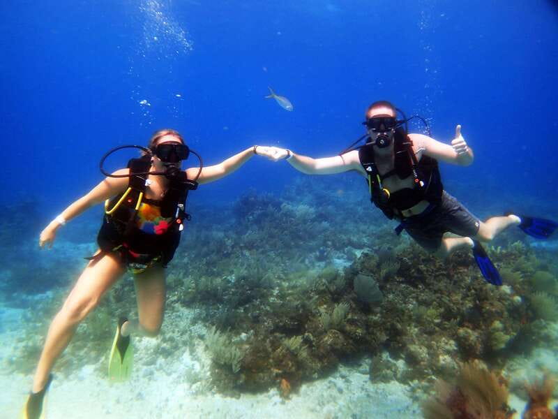 Cancun: 2-Tank Dive for Beginners with MUSA and Reef Dive - Second Underwater Stop: Natural Reef Life and More Colorful Fish