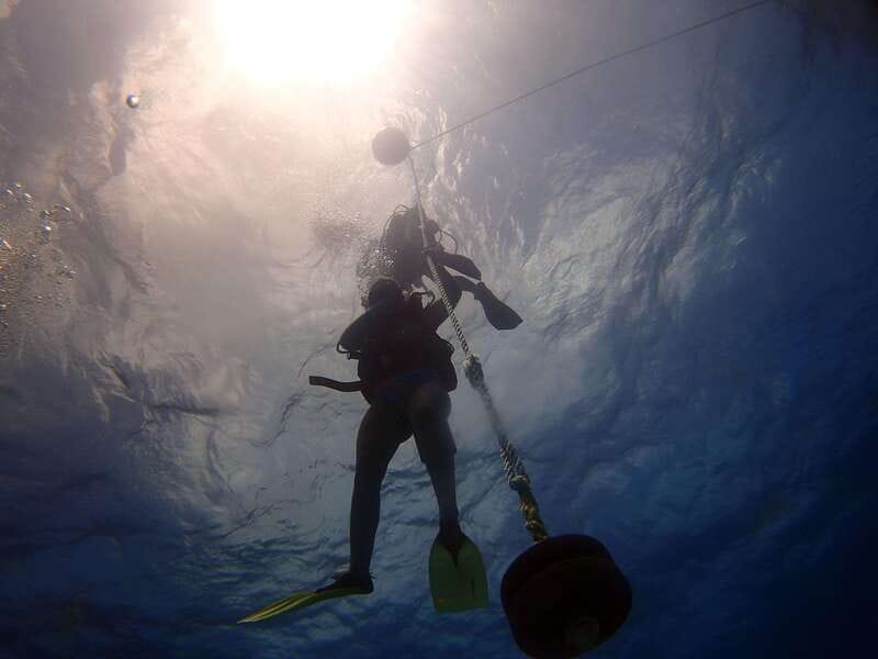 Cancun: 2-Tank Dive for Beginners with MUSA and Reef Dive - Safety and Fitness Reality Check: Who This Works For