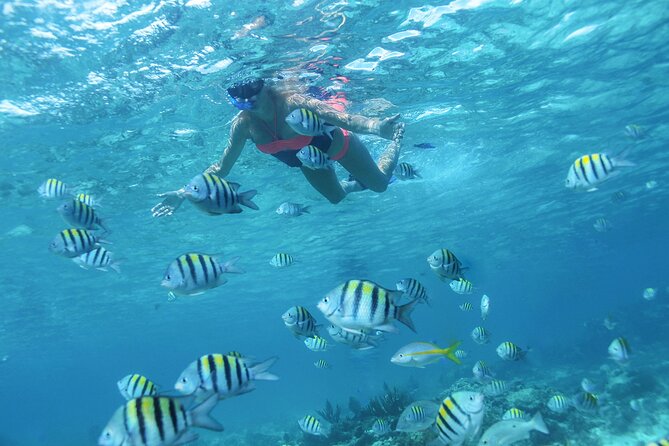 Cancun 4 hour Private Yacht Experience with Lunch and Open Bar Onboard - Isla Mujeres and Playa Norte time, plus paddle board fun