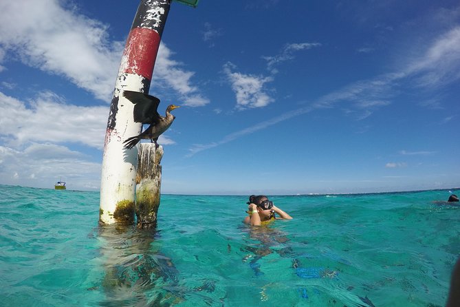 Cancun Adventure: Reef Snorkeling & Parasailing Experience - Two Activities in 3.5 Hours, Parasailing First, Snorkeling After