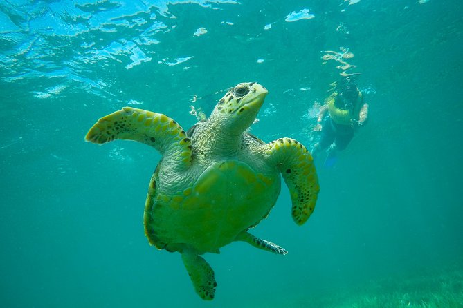Cancun Adventure: Reef Snorkeling & Parasailing Experience - Weather Rules, Waiting Between Activities, and How to Plan Around It