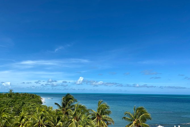 Cancun Airport Shared Shuttle to Holbox Chiquila Port - How the Non-Stop Shared Ride Works