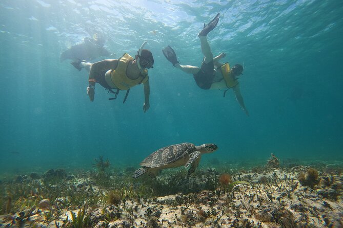 Cancun : All Inclusive Catamaran Tour to Isla Mujeres - Playa Tortugas Departure, Where Your Day Really Begins