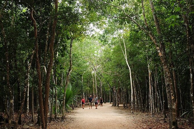Cancun ATV Adventure, Horseback Riding, Zip Lines, and Cenote - Mayan history you can use, taught by guides like Pablo and Ronando
