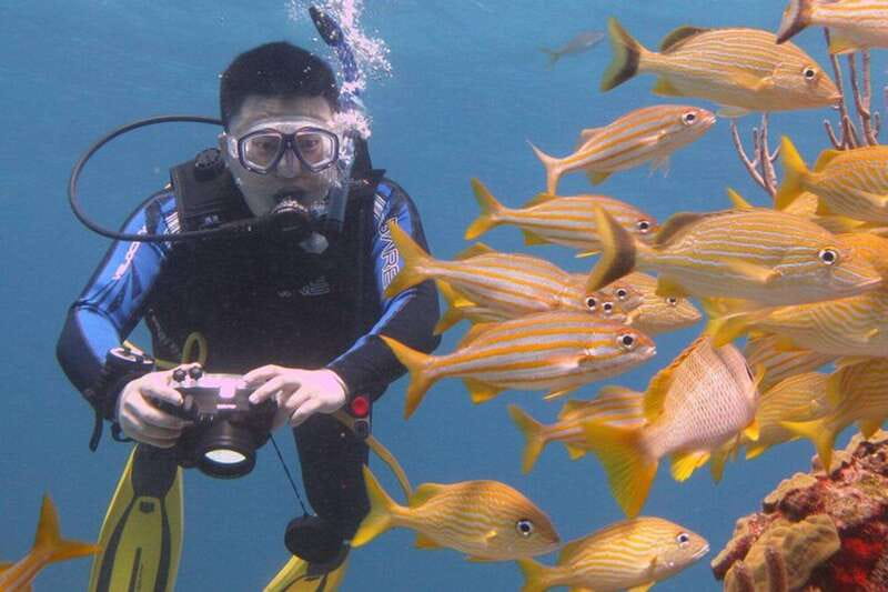 Cancun: Beginner Scuba Diving at Underwater Museum - Manchones Reef: coral habitat and real marine variety