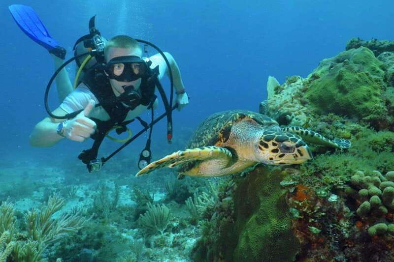 Cancun: Beginner Scuba Diving at Underwater Museum - Pool skills first, then real water