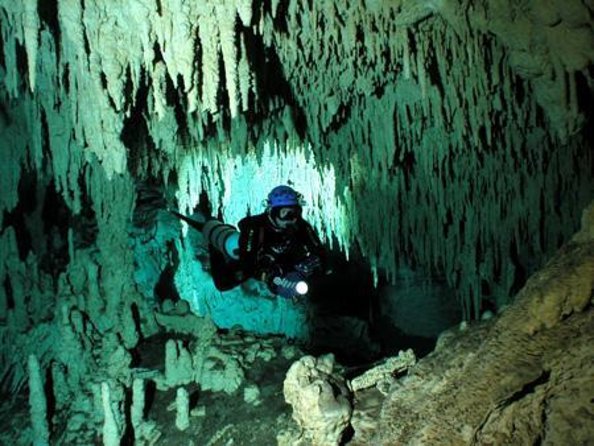 Cancun Cenote Tour: Snorkeling, Rappelling and Ziplining - Why This Cancun Cenote Combo Tour Feels Worth the Money