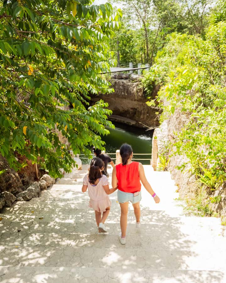 Cancun: Cenotes El Retoño entrance with transportation, lunch, and guided tour. - Cenote swim #1 and swim #2: what the two-water plan really gives you