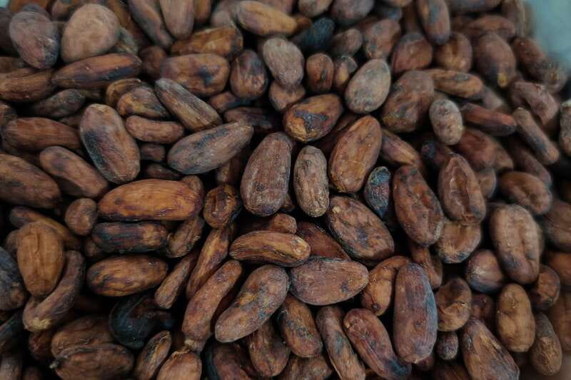 Cancún: Chocolate Making Class and Tasting with Chef - Mayan Chocolate in Cancun, What Makes It Different