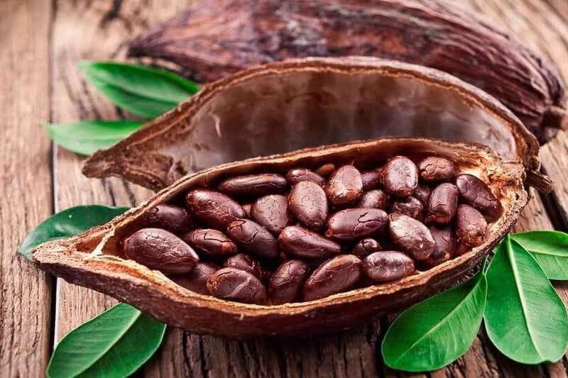 Cancún: Chocolate Making Class and Tasting with Chef - The Sensory Tasting Lineup, Drinks, Snacks, and Dessert