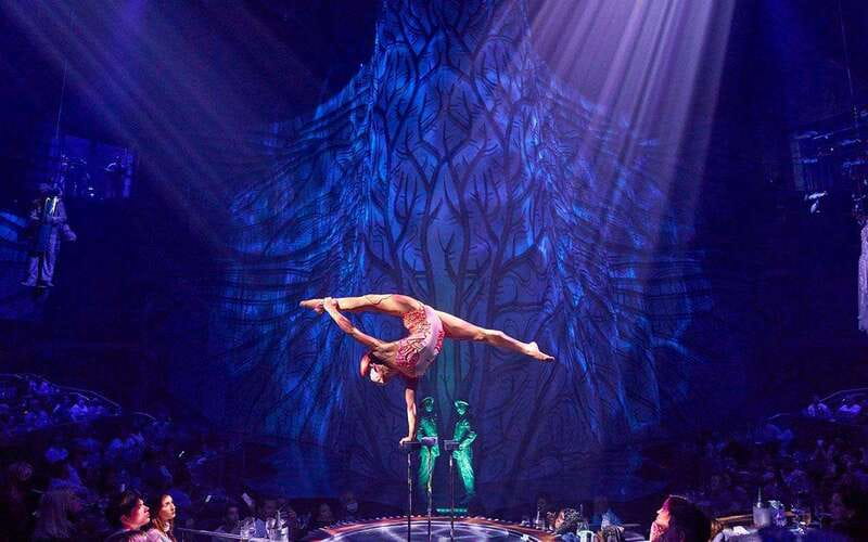 Cancún: Cirque du Soleil JOYÀ Entry Ticket and Transfer - Price and value at about $106 per person, what you might be paying for