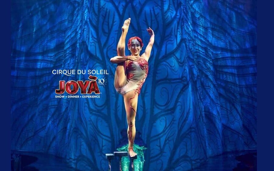 Cancún: Cirque du Soleil JOYÀ Ticket - Why Cirque du Soleil JOYÀ Feels Different at Vidanta Riviera Maya