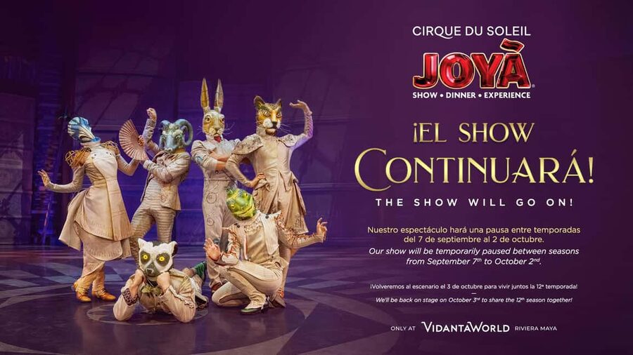 Cancún: Cirque du Soleil JOYÀ Ticket - Picking the Right Package: Show Only vs Premium Appetizers vs VIP Dinner