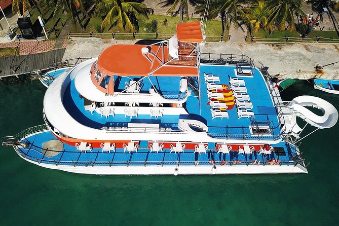 Cancun Dancer Cruise to Isla Mujeres with Snorkeling and Lunch - El Meco Reef Snorkeling: The Best Part, With Real-World Limits
