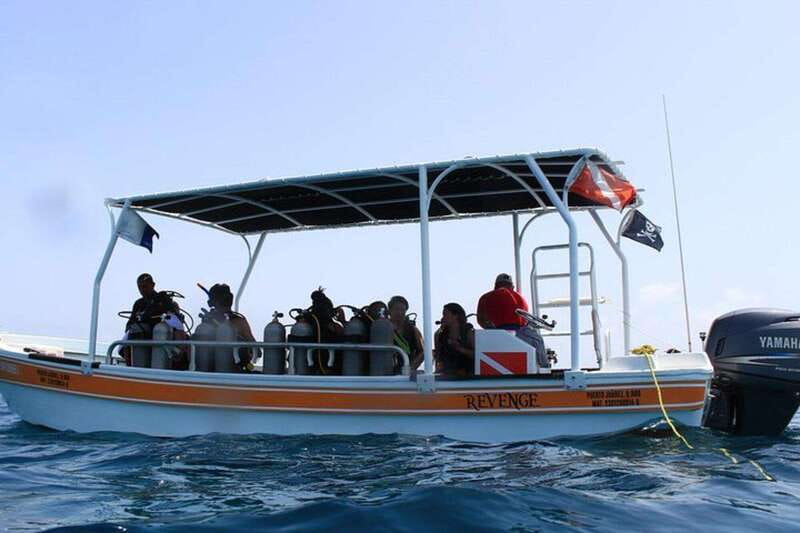 Cancun: Dive Underwater Museum & Manchones Reef - Underwater Museum: seeing sculptures become a living gallery