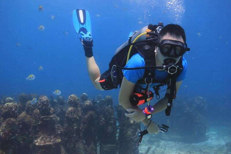 Cancun: Dive Underwater Museum & Manchones Reef - Getting to Coconut Divers at Sotavento (and why the meeting point matters)