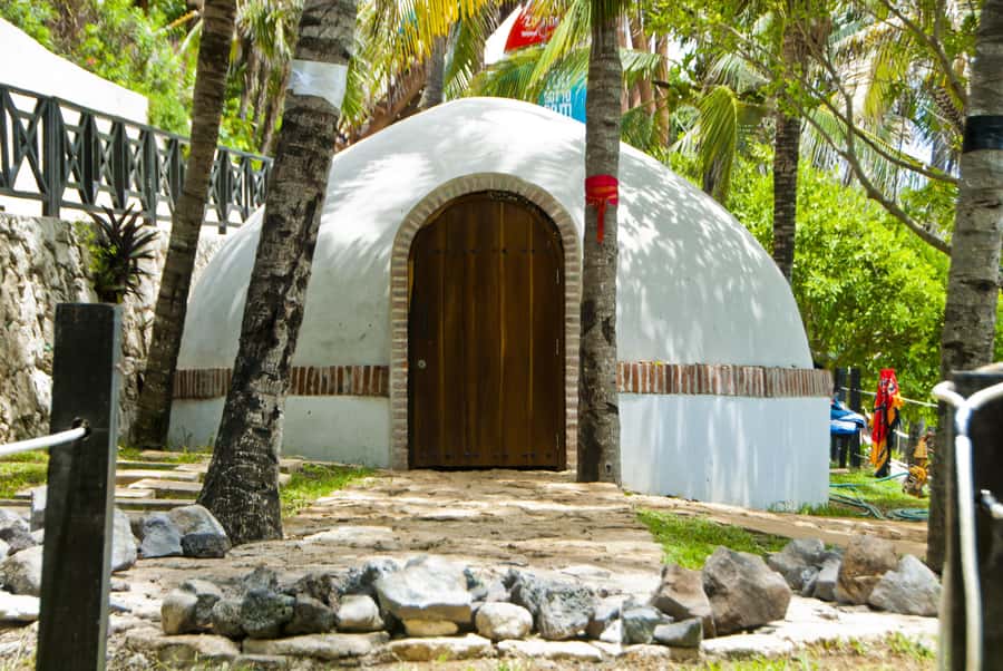 Cancun: Dolphin Encounter on Isla Mujeres and Garrafon Park - The Big Picture, a 9-Hour Island Escape from Cancun