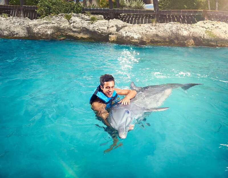 Cancún: Dolphin Encounter on Isla Mujeres with Buffet - From Cancún to Isla Mujeres: the 9:00 AM ferry rhythm