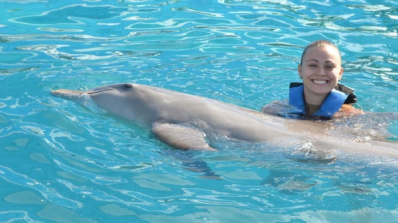 Cancún: Dolphin Encounter on Isla Mujeres with Buffet - Instructor time and dolphin facts that actually help you watch