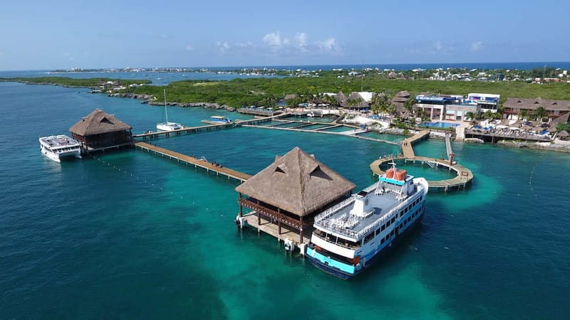 Cancún: Dolphin Encounter on Isla Mujeres with Buffet - Price and real-world value: what $95 includes, and what may cost extra