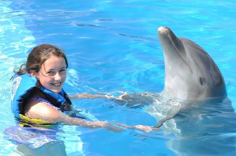 Cancún: Dolphin Encounter on Isla Mujeres with Buffet - What to bring (and what to leave at home)