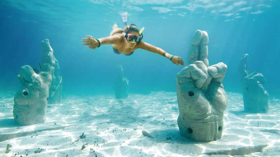 CANCUN: Dolphin Swim Adventure with buffet and soft drinks - A One-Hour Dolphin Swim With Lessons Built In