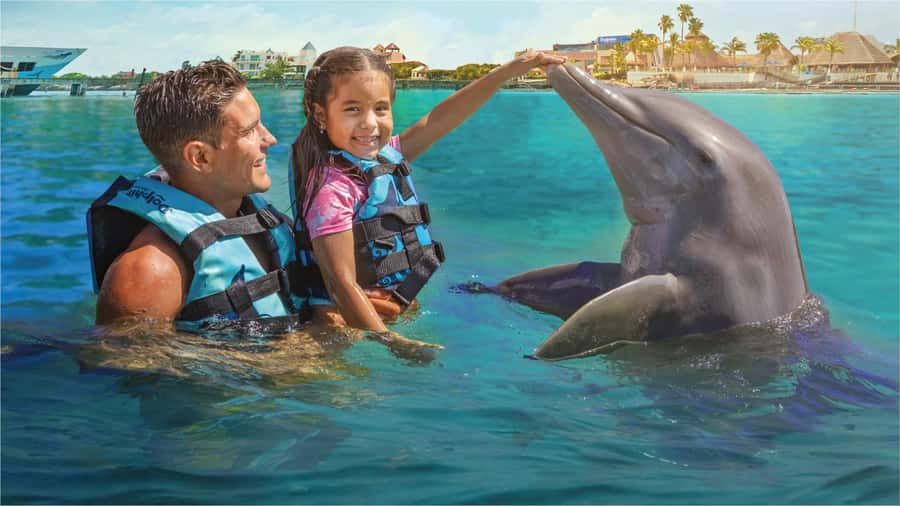 Cancun: Dolphin Swim and Garrafon Reef Park Tour with Buffet - Key things to know before you go