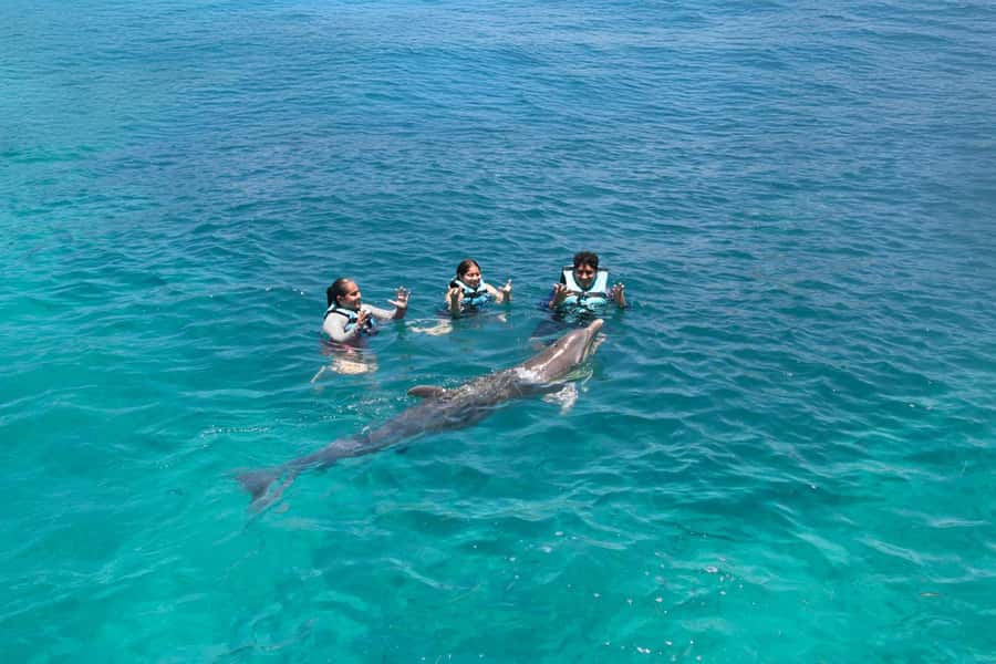 Cancun: Dolphin Swim and Garrafon Reef Park Tour with Buffet - Lunch, open bar, and the comfort perks that make the day easier