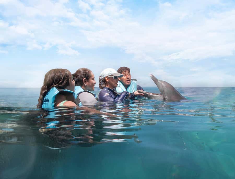 Cancun: Dolphin Swim and Garrafon Reef Park Tour with Buffet - Practical packing and on-site expectations (life jackets, cash, and meeting point)