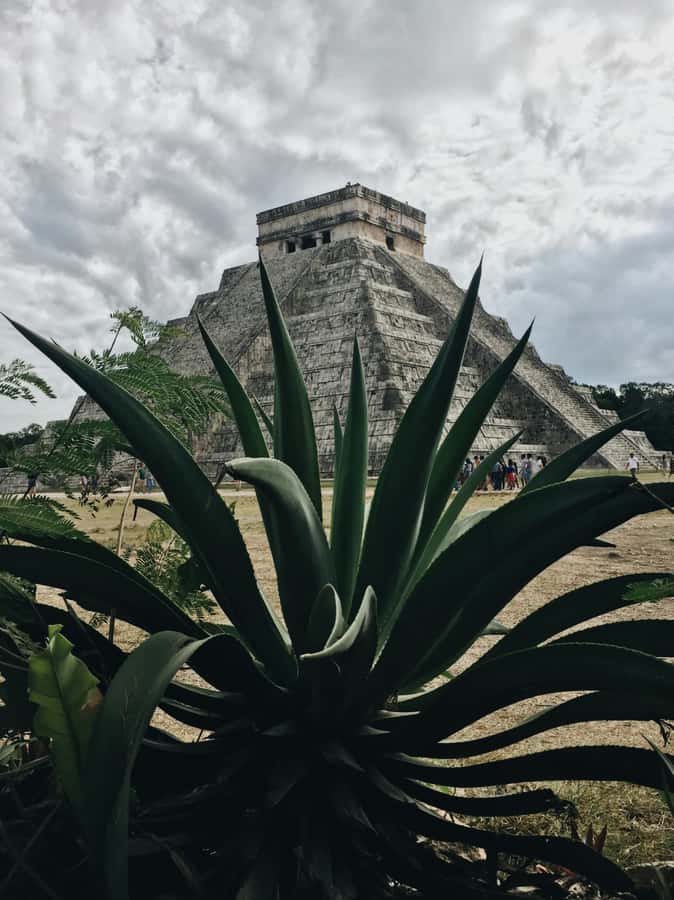 Cancun: Exclusive sunrise at Chichen Itza, expert tour guide - Lunch Plans: Regional Buffet, No Distractions