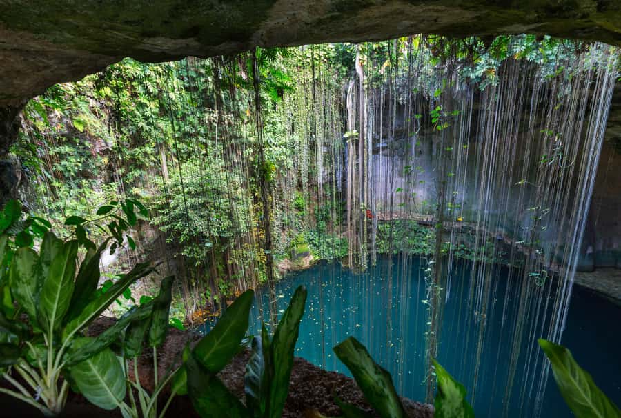 Cancun: Explore Tulum, swim with turtles, cenote, and snorkel in caves - A 13-hour mix of Tulum ruins, sea turtles, and a sacred cenote