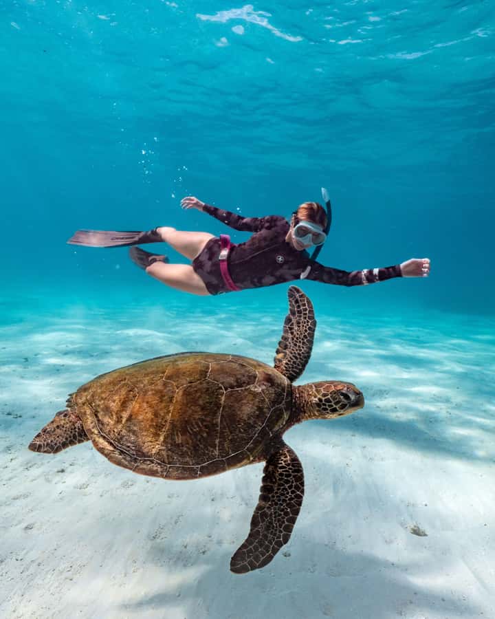 Cancun: Explore Tulum, swim with turtles, cenote, and snorkel in caves - Akumal sea turtles, snorkeling rules, and what you should know