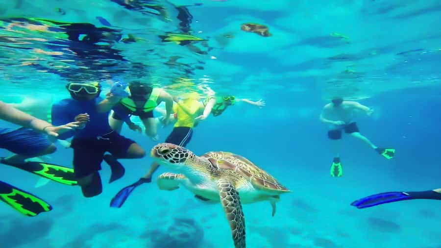 Cancun: Explore Tulum, swim with turtles, cenote, and snorkel in caves - Tequila, Mayan chocolate, and the cultural stops that actually matter