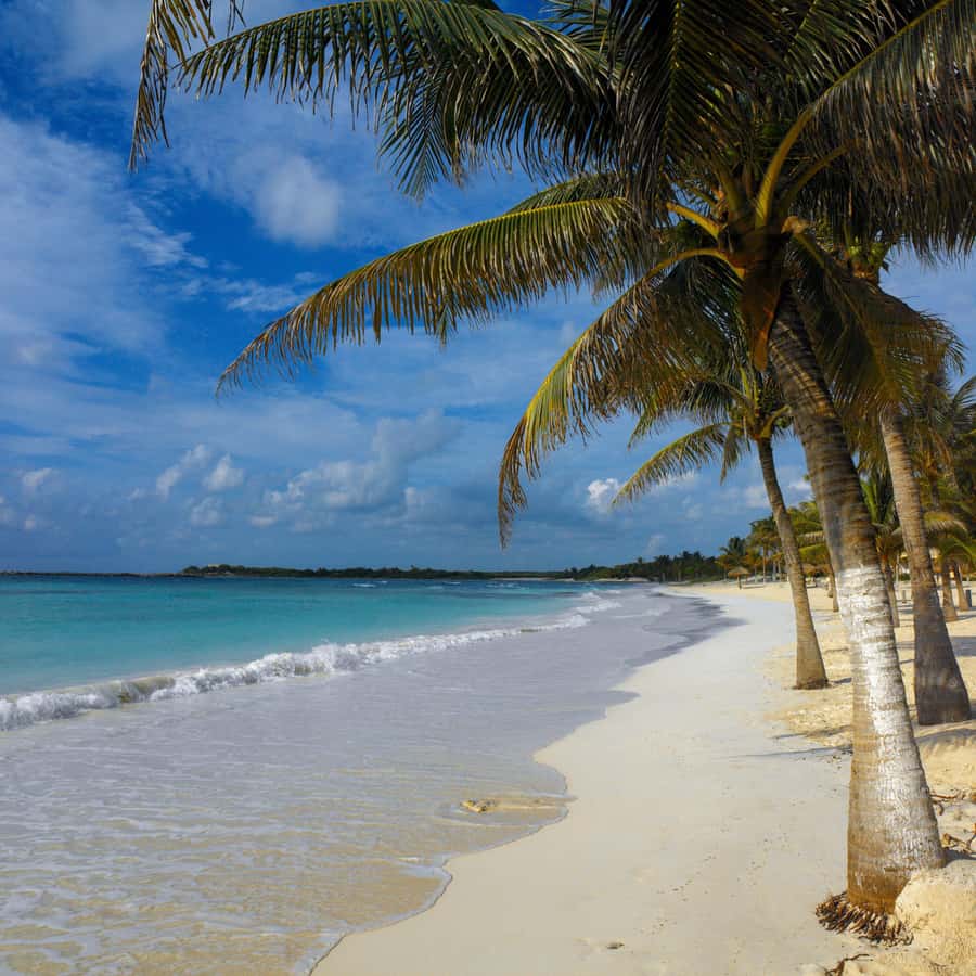Cancun: Explore Tulum, swim with turtles, cenote, and snorkel in caves - Cost and value: what you pay, what you still need to cover