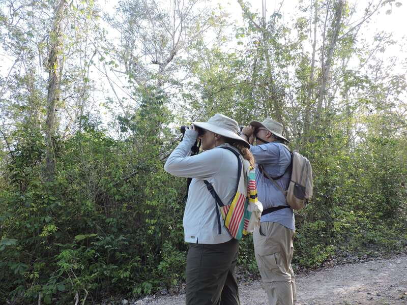 Cancún: Guided Birdwatching Hike - Pickup, timing, and how a 6-hour day actually works