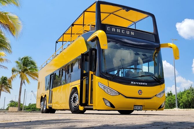 Cancun Guided Bus City Tour (from Cancun and Riviera Maya) - Entering Cancun Like a Local, Not Like a Tourist Bus